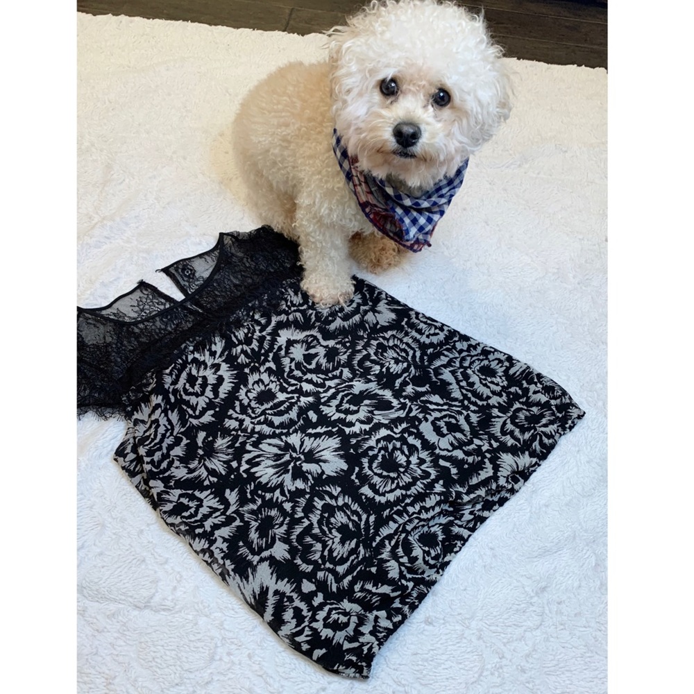 Ann Taylor floral lace blouse